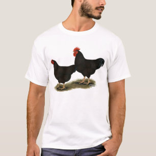 ロードアイランドレッドバンタム Tシャツ