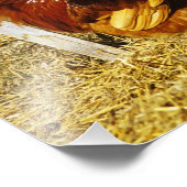 ロードアイランドレッドルースター フォトプリント            (角)