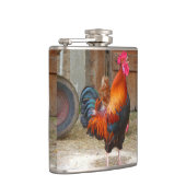 ロードアイランドレッドロースタークロイング納屋周囲の庭 フラスク (右)