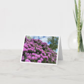 ロードアイランドロードデンドロン カード (正面)