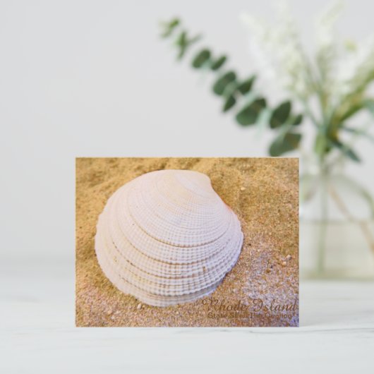 ロードアイランド州の貝殻クオホグのポストカード ポストカード (スタンド正面)