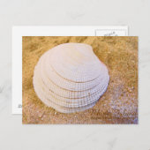 ロードアイランド州シェルクオホッグポストカード ポストカード (正面/裏面)