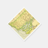 ロードアイランド州地図ポストカード スタンダードカクテルナプキン (角)