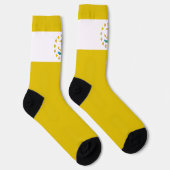 ロードアイランド州旗 ソックス (右)