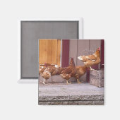 ロードアイランド磁石 マグネット (正面/裏面)