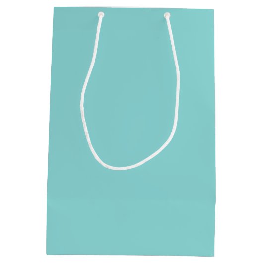 ロードアイランド結婚式の引き出物カスタム ミディアムペーパーバッグ (裏面)