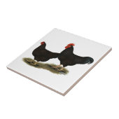 ロードアイランド赤のチャボ タイル (側面)