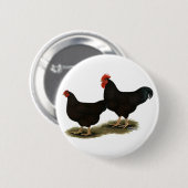 ロードアイランド赤のチャボ 缶バッジ (正面&裏面)