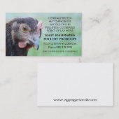 ロードアイランド赤の雌鶏の鶏の卵の農家 名刺 (正面/裏面)