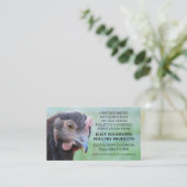 ロードアイランド赤の雌鶏の鶏の卵の農家 名刺 (スタンド正面)