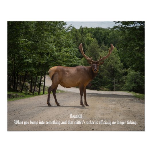 ロードキル ポスター (正面)