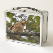 ロードサイドホーク 野生の鳥類写真 メタルランチボックス (正面)
