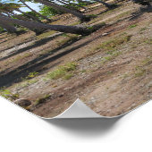 ロードツーパラダイスランジロア ポスター (角)