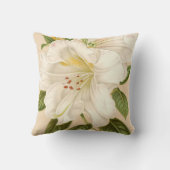 ロードデンドラムセステリアヌム、ヴィンテージフローラ クッション (裏面)