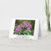 ロードデンドロンポンティカム カード (裏面)