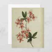 ロードデンドロン勉強スクラップブック紙 (正面/裏面)