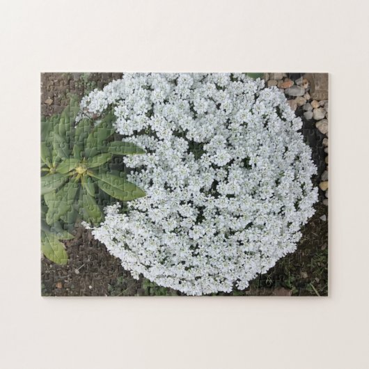 ロードデンドロン葉パズルキャンディタフツフラワーズ ジグソーパズル (横)