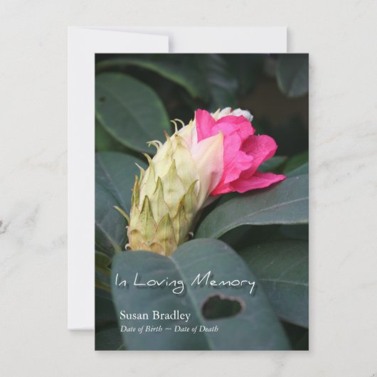 ロードデンドロン2お祝いオブライフ招待状 招待状 (正面)