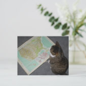 ロードトリップ ポストカード (スタンド正面)