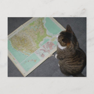 ロードトリップ ポストカード