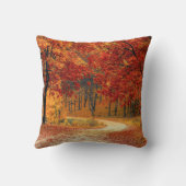 ロードフォレスト秋パス装飾用クッション クッション (裏面)