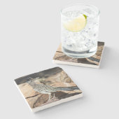 ロードランナーは探索の途中でしばらく立ち止まる ストーンコースター (横)