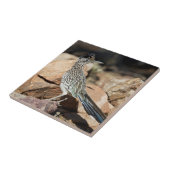 ロードランナーは探索の途中でしばらく立ち止まる タイル (側面)