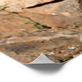 ロードランナーは探索の途中でしばらく立ち止まる ポスター (角)