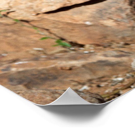 ロードランナーは探索の途中でしばらく立ち止まる ポスター (角)