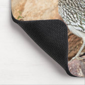 ロードランナーは探索の途中でしばらく立ち止まる マウスパッド (コーナー)