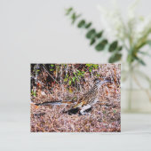 ロードランナーバード ポストカード (スタンド正面)