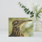 ロードランナーポストカード ポストカード (スタンド正面)