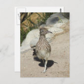 ロードランナーポストカード ポストカード (正面/裏面)