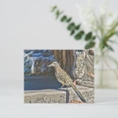 ロードランナーポストカード ポストカード (スタンド正面)