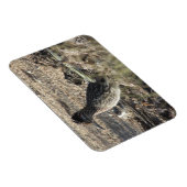 ロードランナーマグネット マグネット (右側)