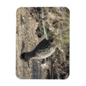 ロードランナーマグネット マグネット (縦)