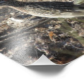 ロードランナー フォトプリント            (角)