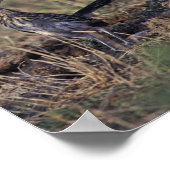 ロードランナー ポスター (角)