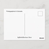 ロードラ実在ンナはがき ポストカード (裏面)