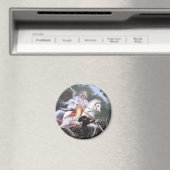 ロード・カルキ マグネット (インサイチュ (食洗機))