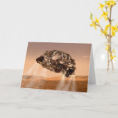 ローバー&ディセントステージ火星科学研究所 カード (黄色い花)