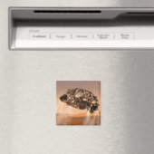 ローバー&ディセントステージ火星科学研究所 マグネット (インサイチュ (食洗機))