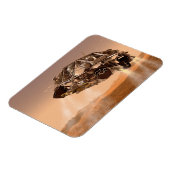 ローバー&ディセントステージ火星科学研究所 マグネット (左側)