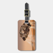 ローバー&ディセントステージ火星科学研究所 ラゲッジタグ (正面縦)