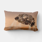 ローバー&ディセントステージ火星科学研究所 ランバークッション (裏面)