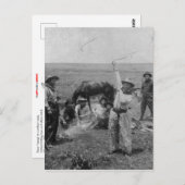 ローピファンシーング ポストカード (正面/裏面)