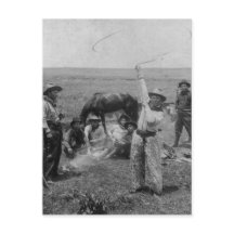 ローピファンシーング