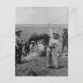 ローピファンシーング ポストカード