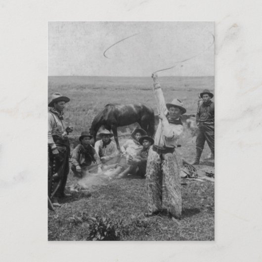 ローピファンシーング ポストカード (正面)