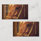 ロープのホールターのスイバ 名刺 (正面/裏面)